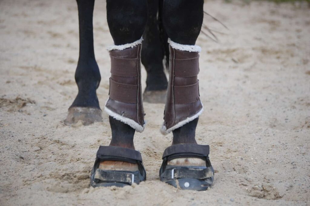 Hoof Boots For Miniature Horses