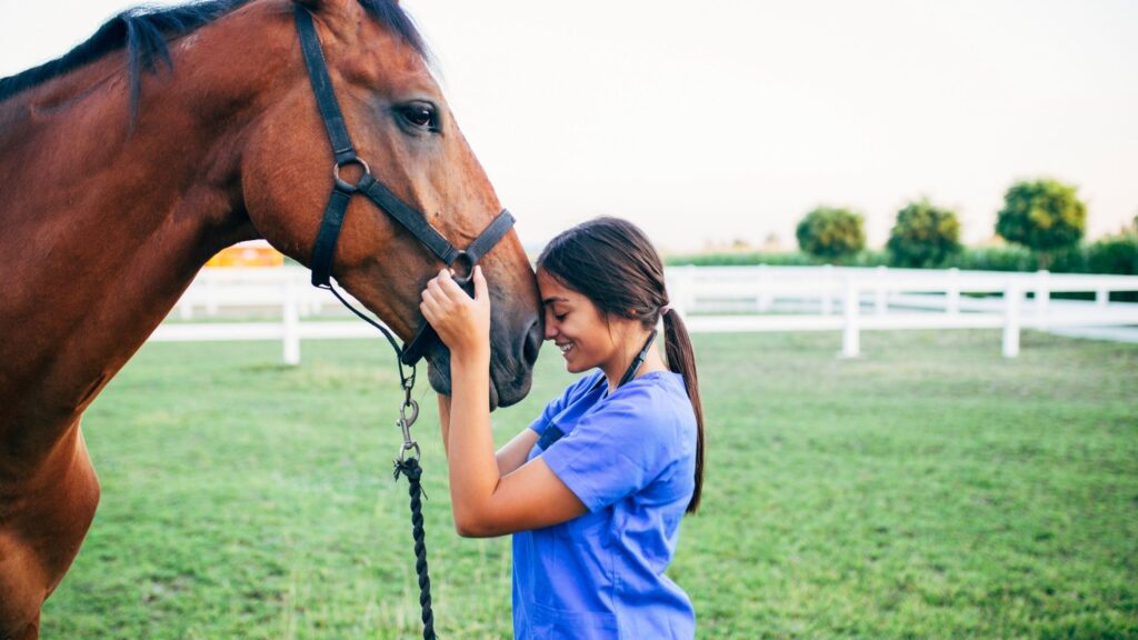 Miniature Horses Therapy